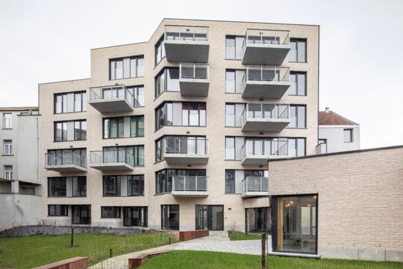 Vandenpeereboom – Arc-en-Ciel