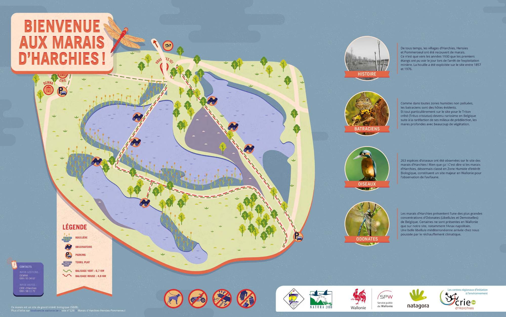 plan du marais d'Harchies